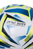 Reusch Football Attrakt Silver 5554004 1616 1616 7